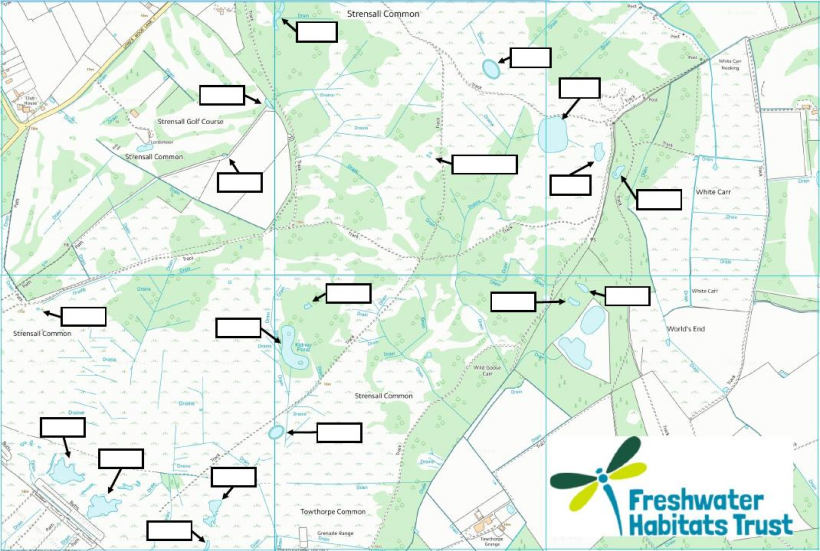 Map showing some of the numerous ponds at Strensall Common. Work parties are starting on scrub around pond nos. 19 and 20 from January 2017